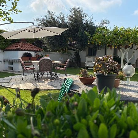 Villa Cecilia B&B Cellole Esterno foto