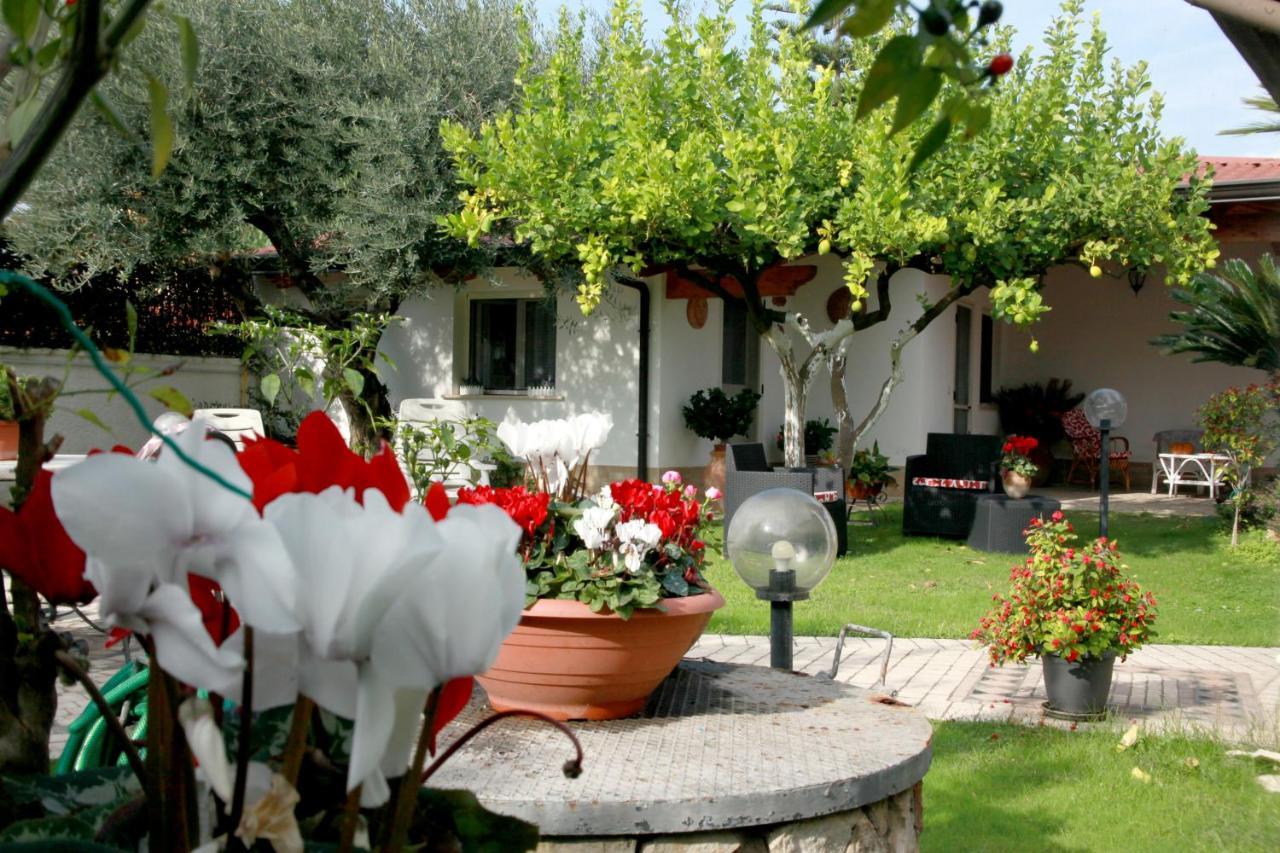 Villa Cecilia B&B Cellole Esterno foto
