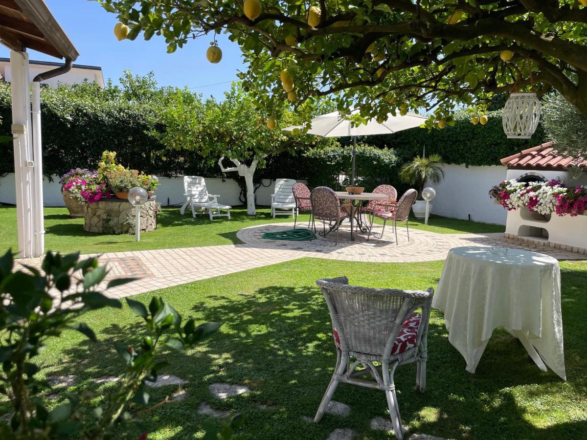 Villa Cecilia B&B Cellole Esterno foto