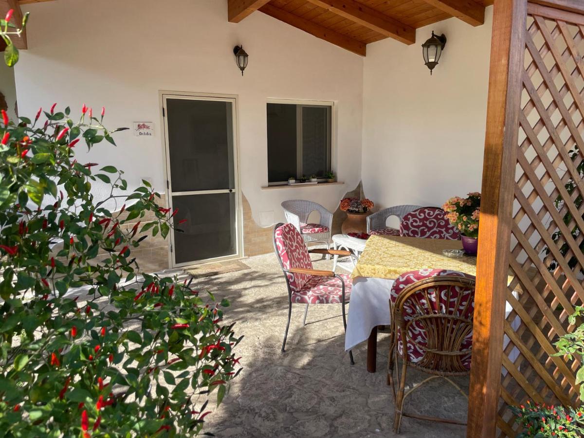 Villa Cecilia B&B Cellole Esterno foto
