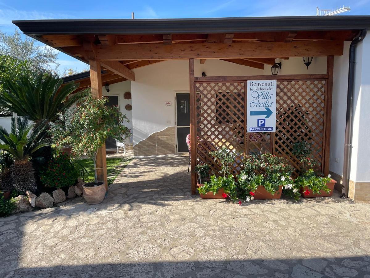 Villa Cecilia B&B Cellole Esterno foto