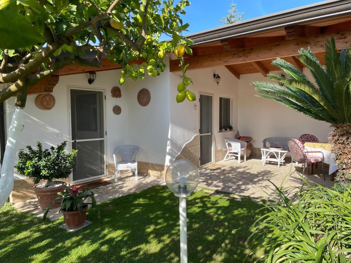 Villa Cecilia B&B Cellole Esterno foto