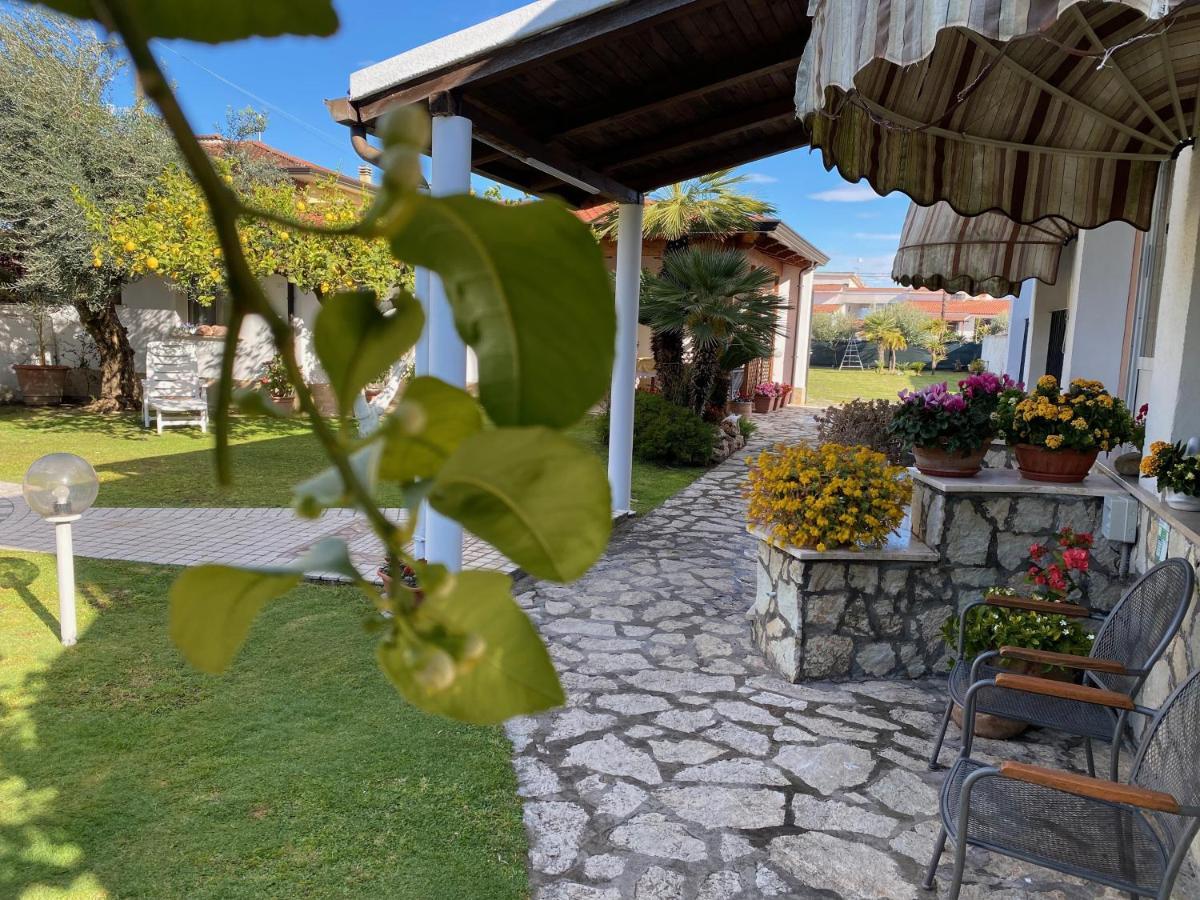 Villa Cecilia B&B Cellole Esterno foto