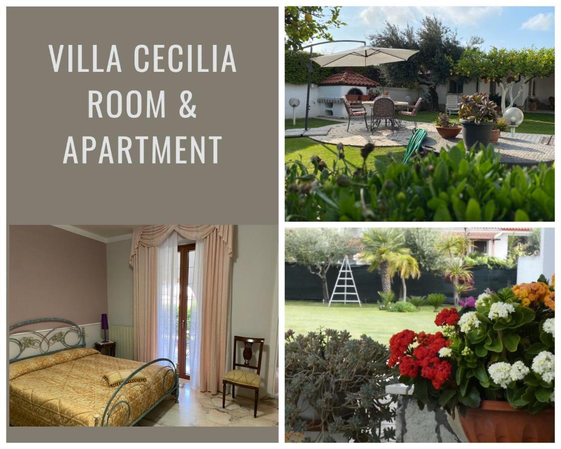 Villa Cecilia B&B Cellole Esterno foto