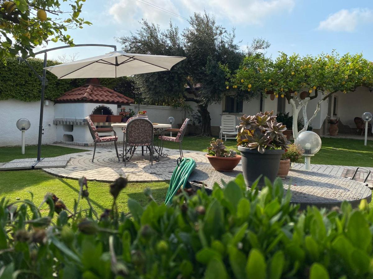 Villa Cecilia B&B Cellole Esterno foto