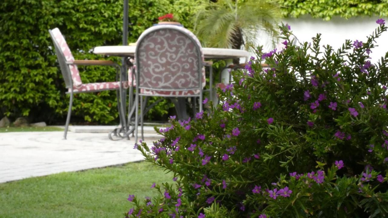 Villa Cecilia B&B Cellole Esterno foto