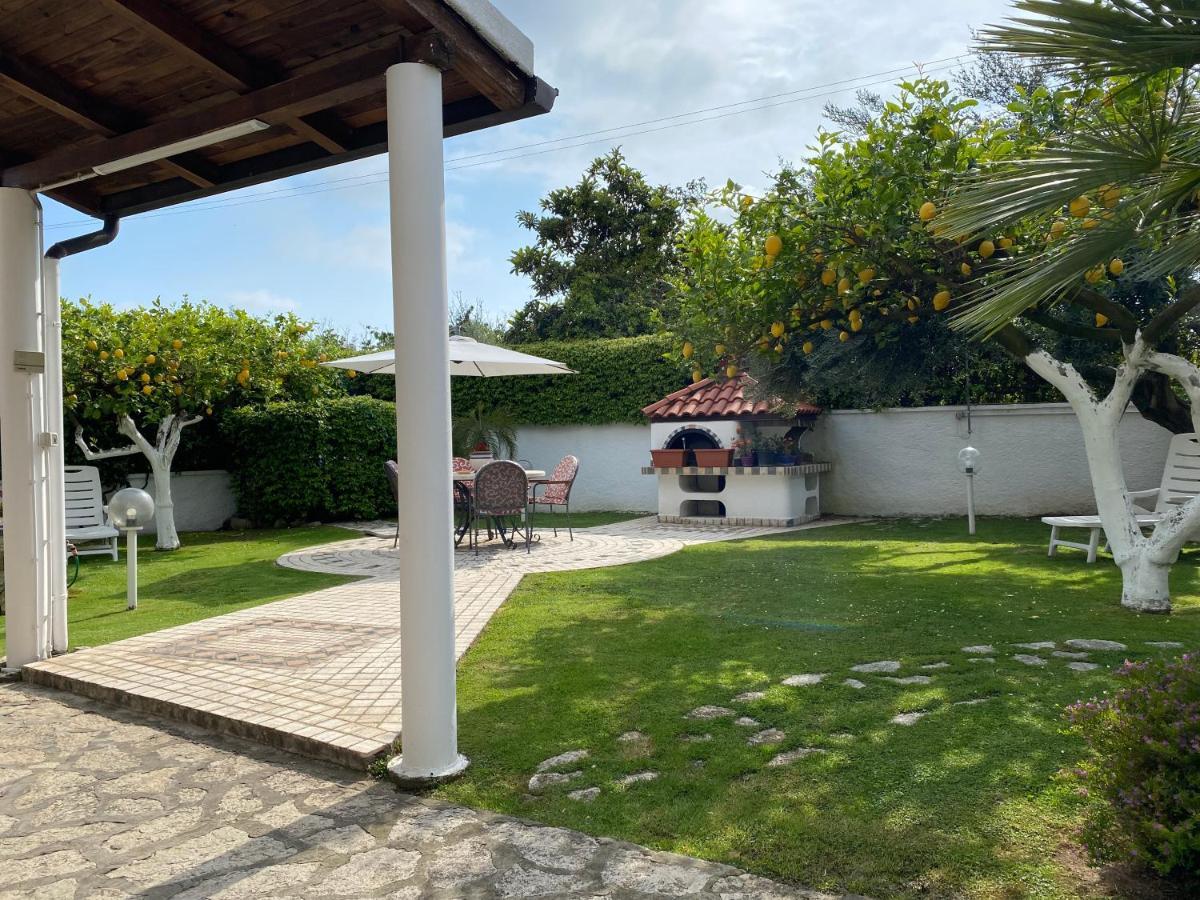 Villa Cecilia B&B Cellole Esterno foto