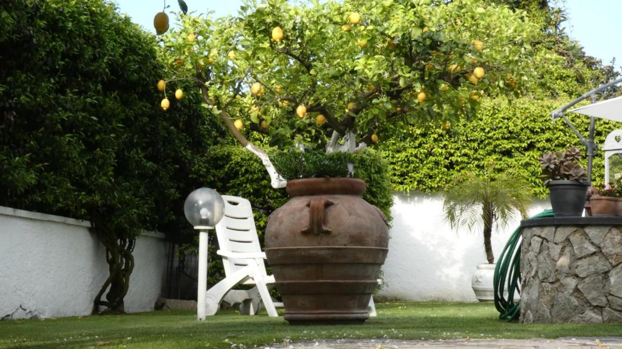 Villa Cecilia B&B Cellole Esterno foto